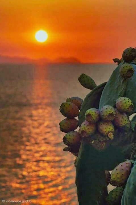 A Pozzallo Vicino Al Mare Villa Dış mekan fotoğraf